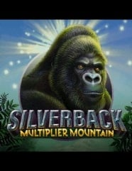 Silverback Multiplier Mountain