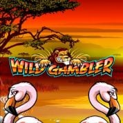 Wild Gambler