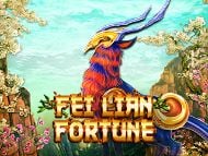 Fei Lian Fortune