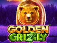 Golden Grizzly