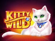 Kitty Wild