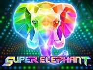 Magic Elephant