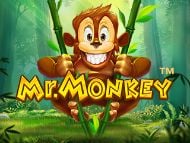 Mr Monkey