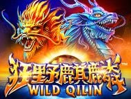 Wild Qilin