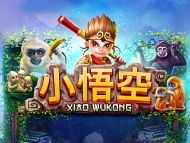 Xiao Wukong