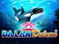 Dalan Delux