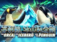 Orca Iceberg Penguin