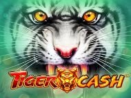 Tiger Cash