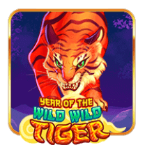 Year of The Wild Wild Tiger